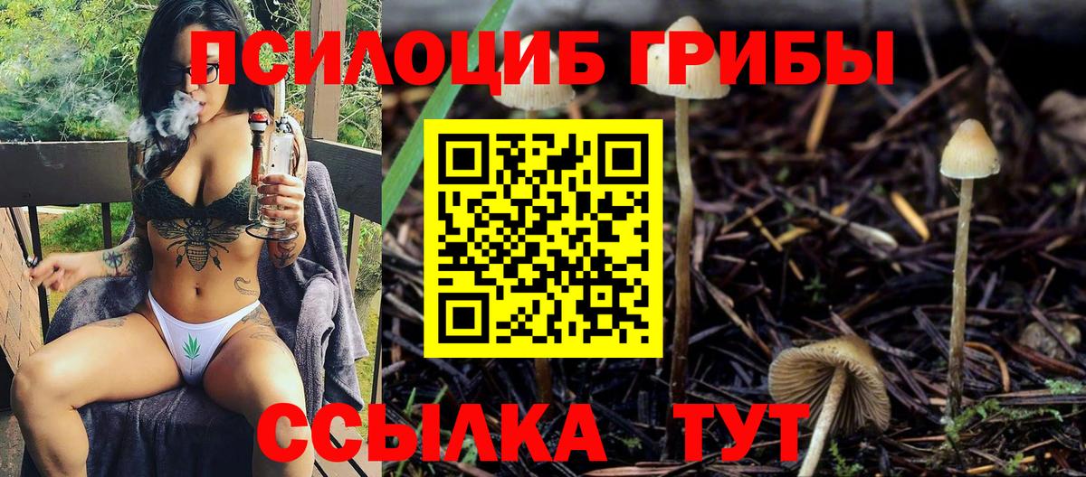Добрянка  магазин продажи   Галлюциногенные грибы Psilocybine cubensis  Вход с VPN  Псилоцибиновые грибы мицелий 